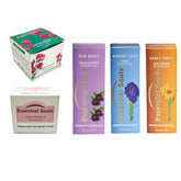Essential souls Daily Skin Care Regime Kit with Dew Berry Cleanser, Morning Glow Toner, Honey Touch Moisturiser, Insta Fair Pack and Satin Rose Night Cream/Pamper your skin with the best aromatherapy products.